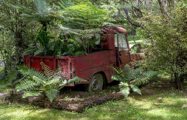 junk-car-removal